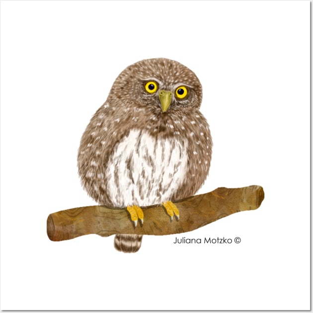 Northern Pygmy Owl Realistic Illustration Wall Art by julianamotzko